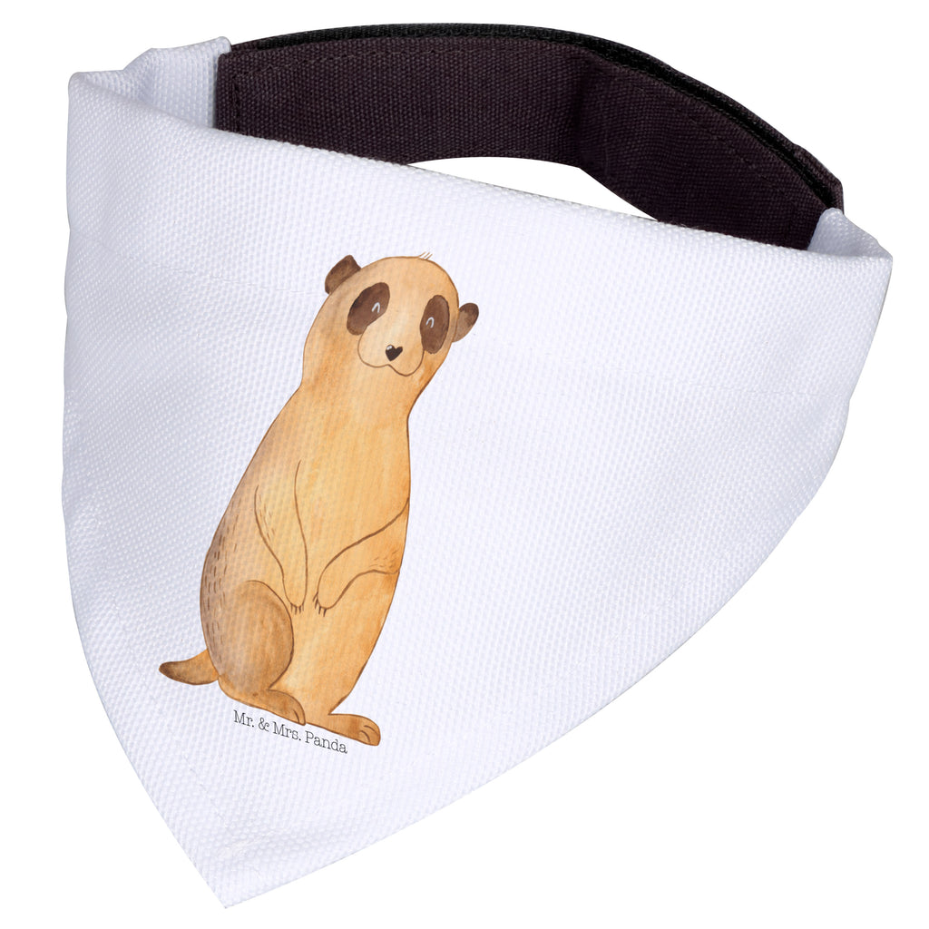 da7b908e2007615d6822d9d2bf18f95e