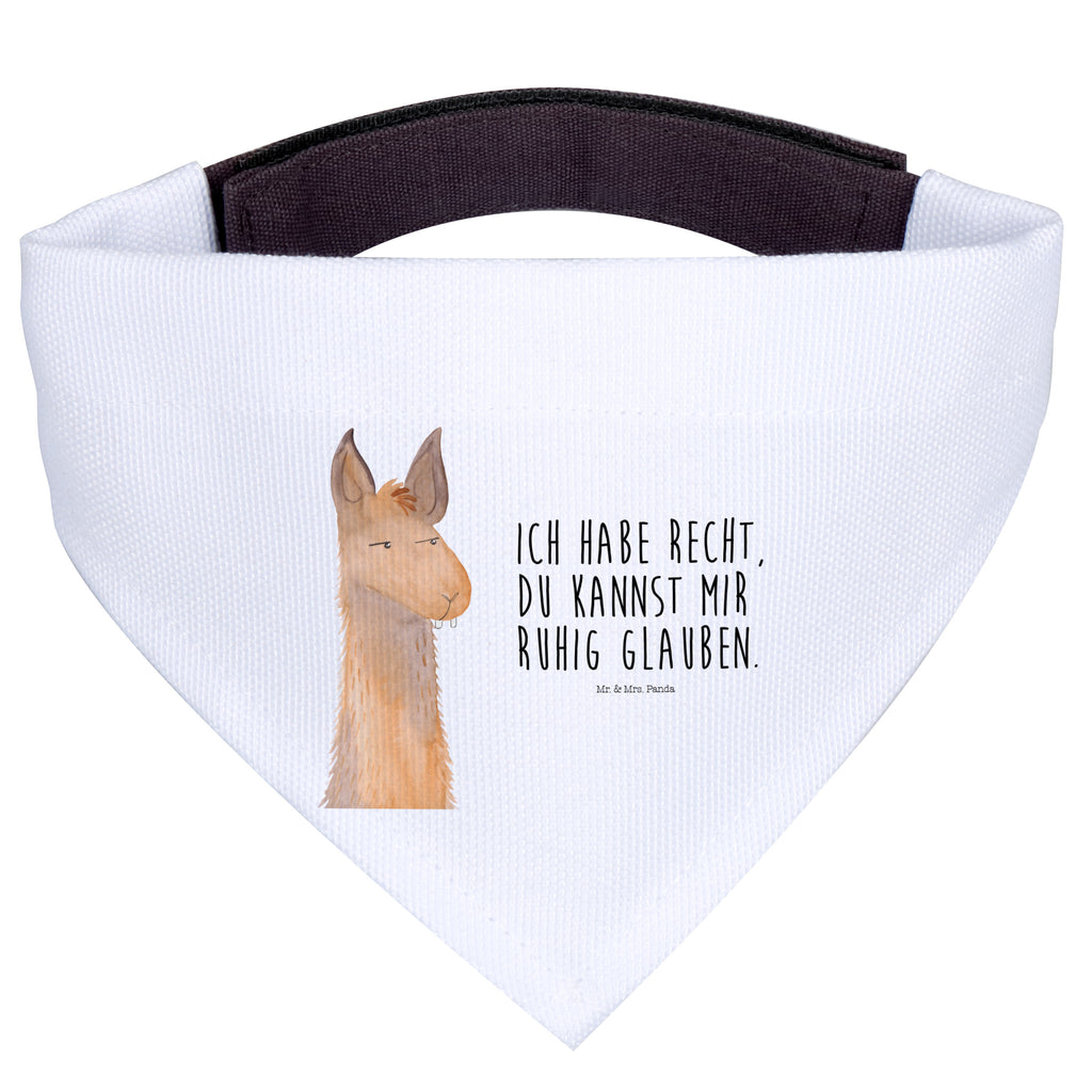 ee8071ccaa94ddddd561e73ee23c9817