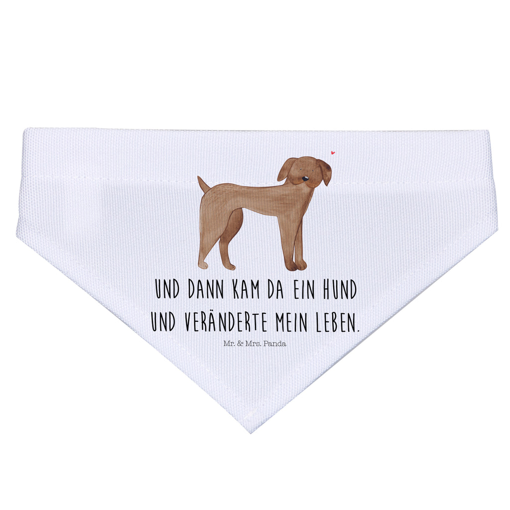 f244ffcc747a6c8c4a429cf339ab7ebe