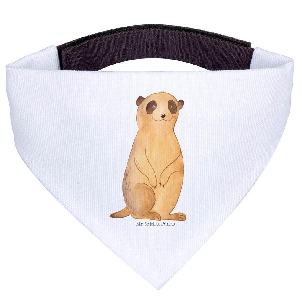 f3fa6d4a4556dd98056356fbeef66923